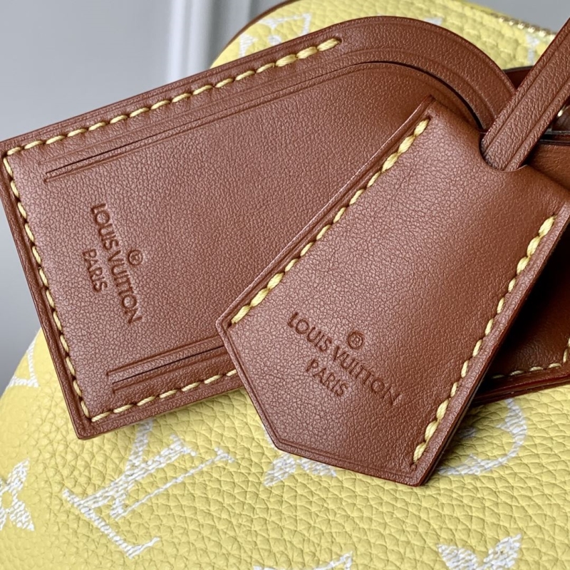 LV Speedy Bags